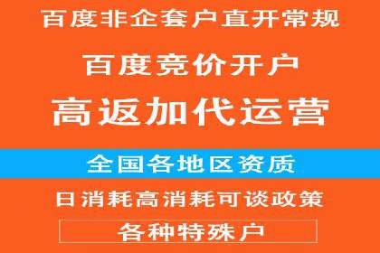 成功案例揭秘：百度SEO推广公司如何助力企业品牌建设